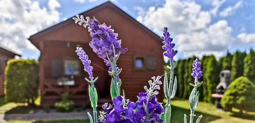 Domki Letniskowe Lawenda Rusinowo  Exteriör bild